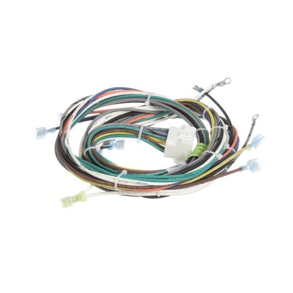 Main Harness, Gas
